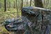 Tragopan TENT FOR LAGOPUS