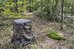 Tragopan TENT FOR LAGOPUS