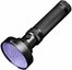 UV06 395NM
