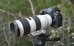 Viltrox C-AF Teleconverter 1.4x