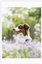 Xiaomi Portable Photo Paper 20 sheets