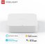 Yeelight BLE Mesh Gateway