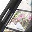 Zep Photo Tray Black W002 for 9 Photos