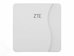 ZTE Router MF258 + IDU Wifi6