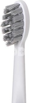Adler | 2-in-1 Water Flossing Sonic Brush | AD 2180w | Rechargeable | For adults | Number of brush heads included 2 | Number of teeth brushing modes 1 | White