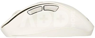 Asus MD105 MOUSE/MK-WH//BT+2.4GHZ
