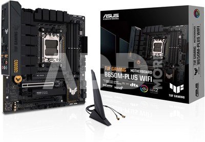 Asus TUF GAMING B650M-PLUS WIFI Processor family AMD, Processor socket AM5, DDR5 DIMM, Memory slots 4, Supported hard disk drive interfaces  SATA, M.2, Number of SATA connectors 4, Chipset AMD B650, micro-ATX