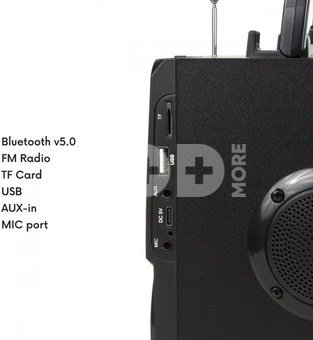Audiocore Bluetooth speaker with remote Audiocore AC730