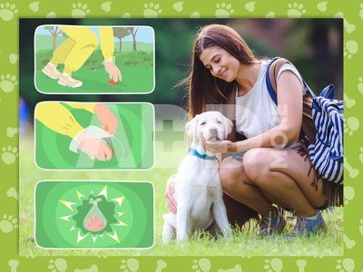 Beper C207PET012