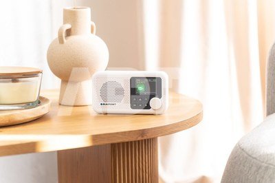 Blaupunkt DR8BK