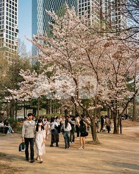 Candido film Colour 200/36