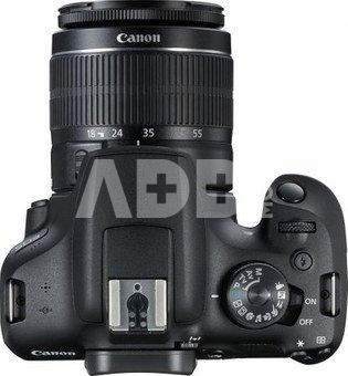 Canon EOS 2000D BK 18-55 IS EU26 VUK 2728C013