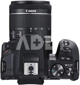 Canon EOS 250D + 18-55mm IS STM
