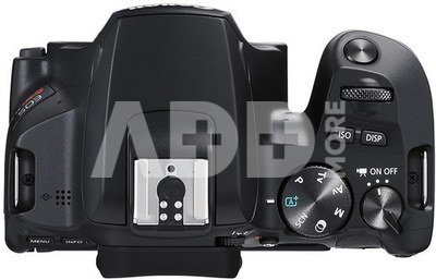 Canon EOS 250D Body - Juodas