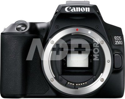 Canon EOS 250D Body - Juodas