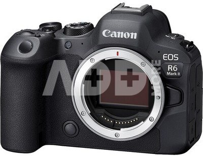 Canon EOS R6 Mark II body