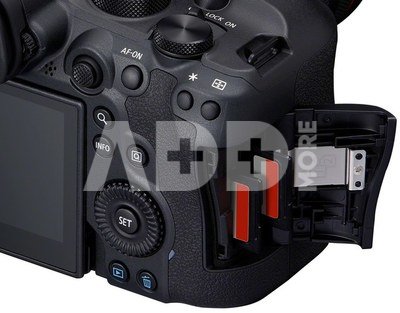 Canon EOS R6 Mark II + RF 24-105mm F4-7.1 IS STM