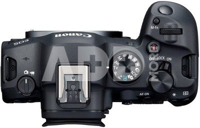 Canon EOS R6 Mark II + RF 24-105mm F4 L IS USM