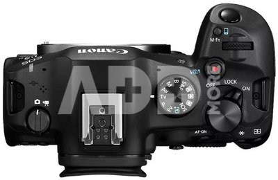 Canon EOS R6 Mark III + 24-105MM f4L USM