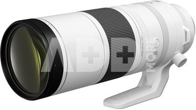 Canon EOS R6 Mark III linnufotograafia komplekt RF 200-800mm objektiiviga