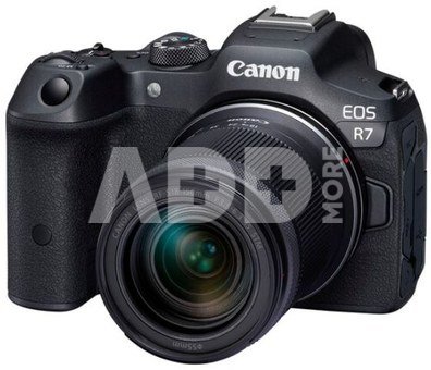 Canon EOS R7 + Mount Adapter EF EOS R