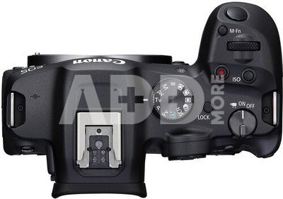 Canon EOS R7 + RF-S 18-150 mm