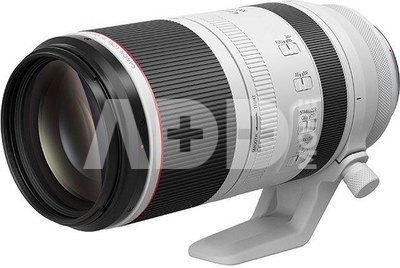 Canon RF 100-500mm F4.5-7.1L IS USM