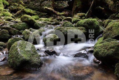 Canon RF 14-35mm f/4L IS USM