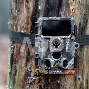 Caruba Wildcamera Moose 4K