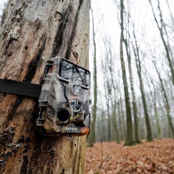 Caruba Wildcamera Moose 4K