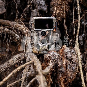 Caruba Wildcamera Moose 4K