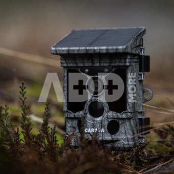 Caruba Wildcamera Raccoon Solar 4K