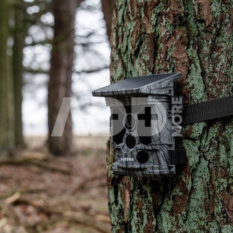 Caruba Wildcamera Raccoon Solar 4K
