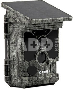 Caruba Wildcamera Raccoon Solar 4K