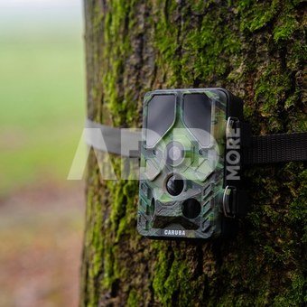 Caruba Wildcamera Toad Full HD