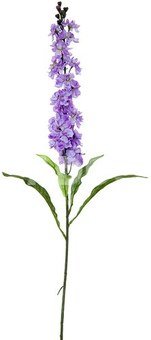 Dekoratyvinė gėlė Leukonija violetinė (24) h 78 cm SAVEX