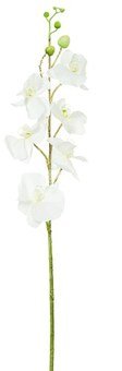 Dekoratyvinė gėlė Orchidėja balta/rožinė (12) h 90 cm SAVEX