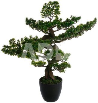 Dekoratyvinis augalas Bonsas 80 cm juodas vazonas Atmosphera 135300