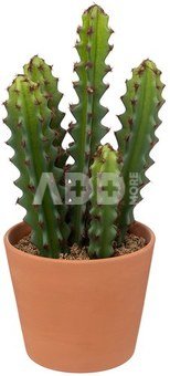 Dekoratyvinis augalas su vazonu Kaktusas D12xH30 cm Atmosphera 189122