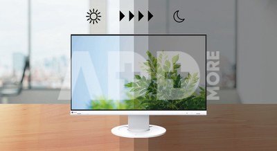 EIZO FlexScan EV2460 white
