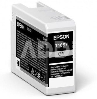 Epson UltraChrome Pro 10 ink T46S7 Ink cartrige, Grey
