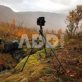 Falcam TreeRoot Quick Lock Pro Tripod T00A4901