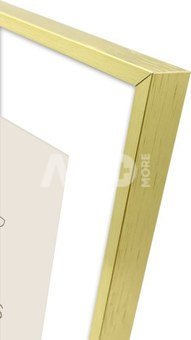 Focus Aster Gold 20x25/PP 15x20