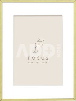 Focus Aster Gold 24x30/PP 18x24