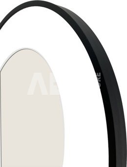 Focus Aster Oval Black 18x24