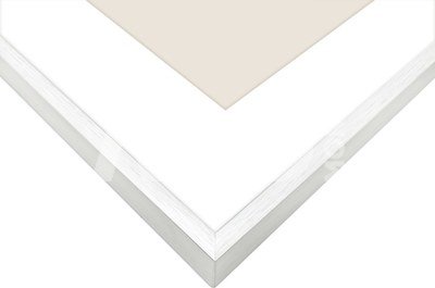 Focus Aster Silver 18x24/PP 13x18