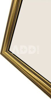 Focus Holly Gold 30x40