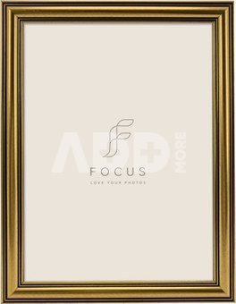 Focus Holly Gold 30x40