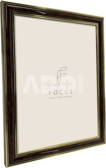 Focus Holly Light Root 13x18