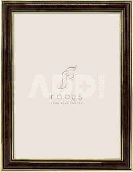 Focus Holly Light Root 13x18